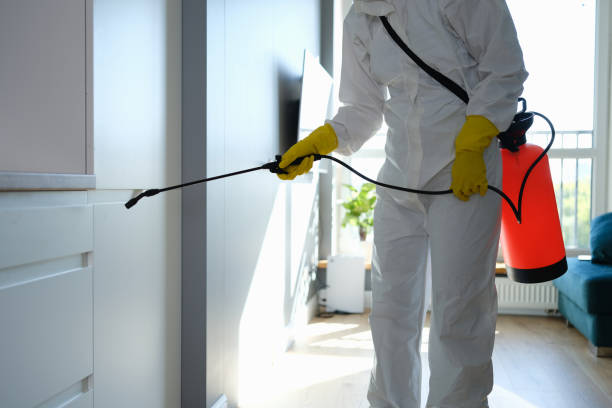 Best Certified Mold Removal  in South Whittier, CA