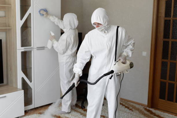 Professional Mold Removal in South Whittier, CA