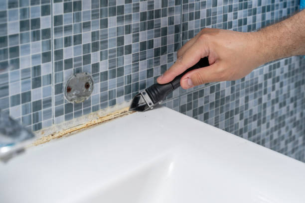 Best Mold Remediation  in South Whittier, CA